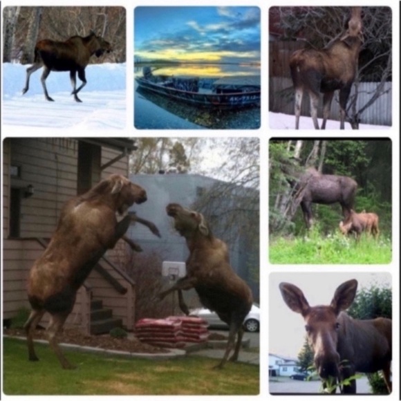 MEET THE POSHERS - Picture 11 of 16